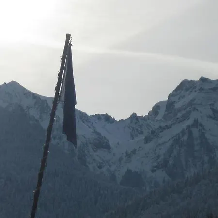Le Mont Jorat * Abondance