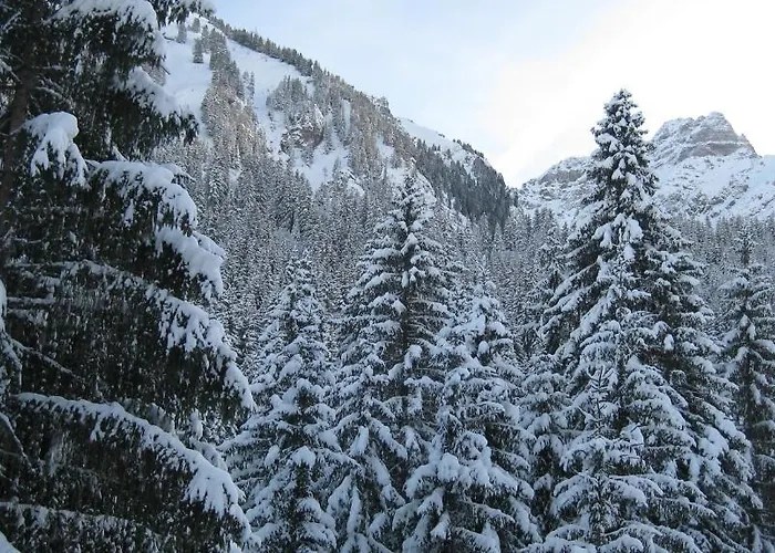 Le Mont Jorat Hotel Abondance
