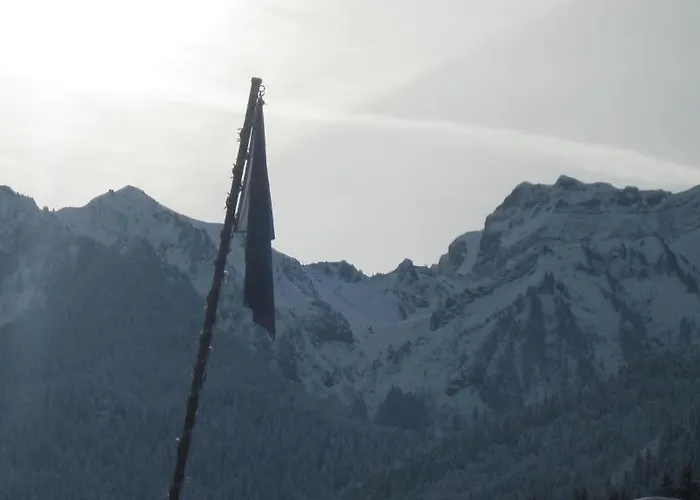 Le Mont Jorat * Abondance