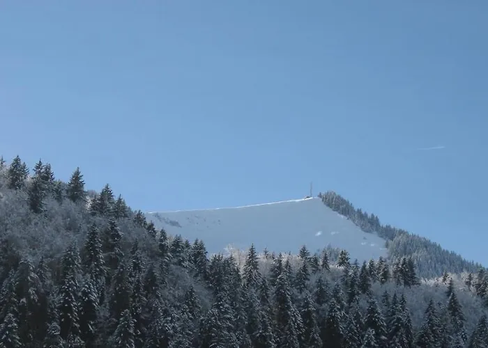 Hotel Le Mont Jorat